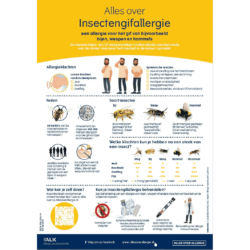 Infographic A4 insectengifallergie download